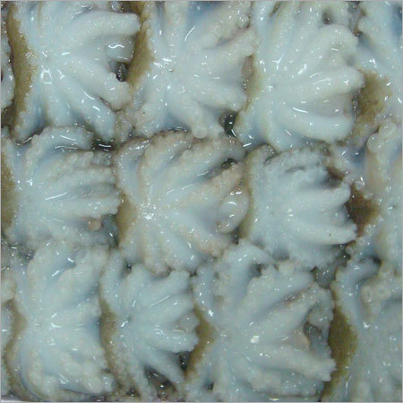 Frozen Octopus Tray Packing