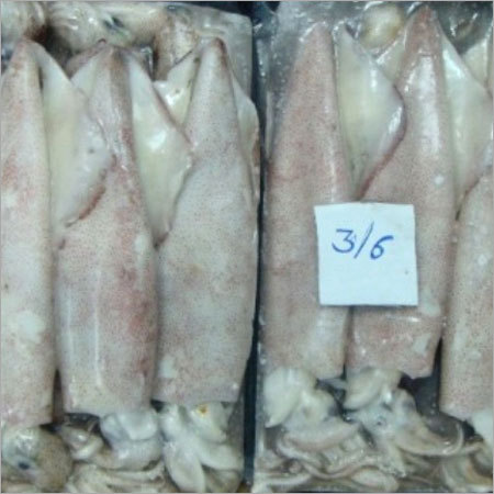 Squid Whole Semi Block
