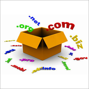 Domain Registration