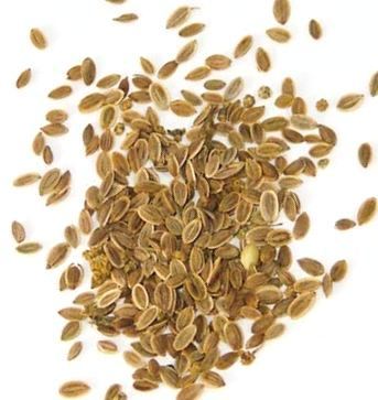 Dill seeds suva shepu