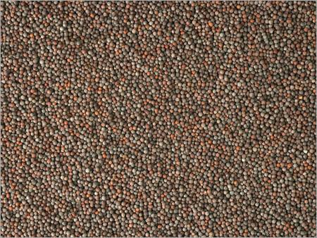 mustard seed