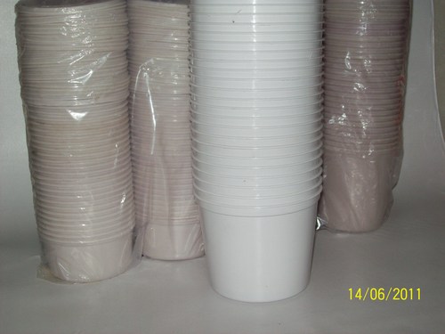 Plastic Disposable Container