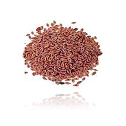 psyllium seed isapgul