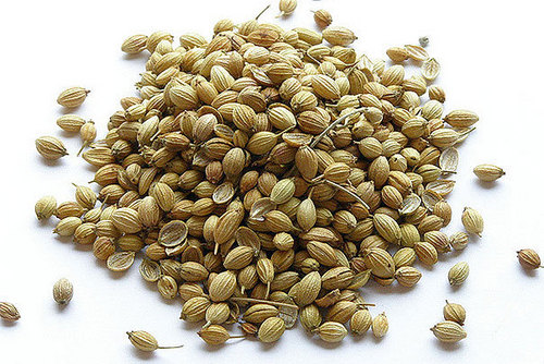 coriander seeds dhana