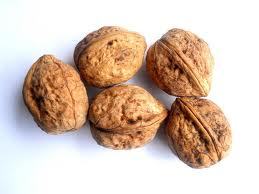 KASHMIR WALNUT