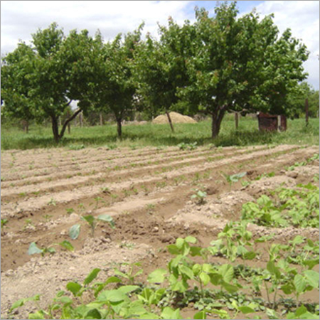 Agricultural Land Development