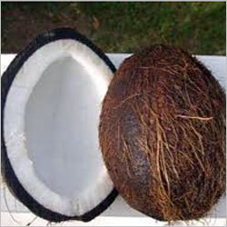 Coconuts with Skin
