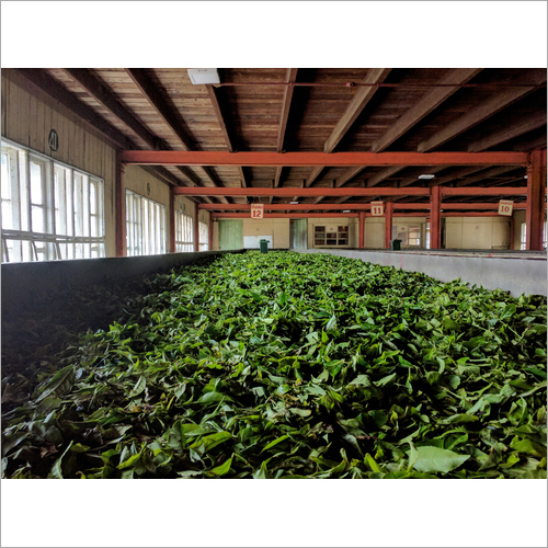 Withered Leaf Even Feeding Systems