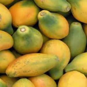Papaya