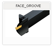 Face Grooving Tool