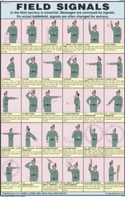 Field Signals Chart