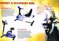 Recumbent Bike & Upright Bike (Cosco)