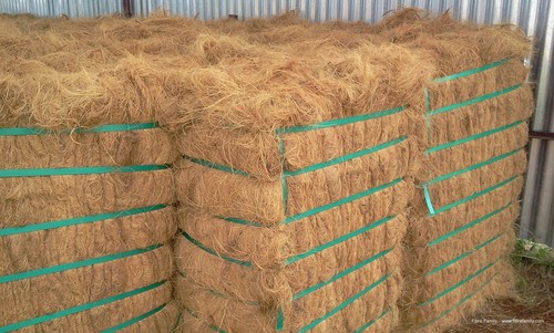 Coir Fibre