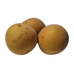 Sapota