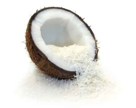 Dessicated Coconut Powder