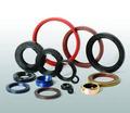 Oil Seal and O Ring