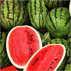 Water Melon Flavour