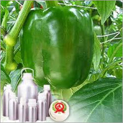 Capsicum Flavour