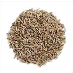Jeera Flavour