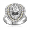 Shell Ring
