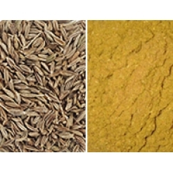 Cumin Powder