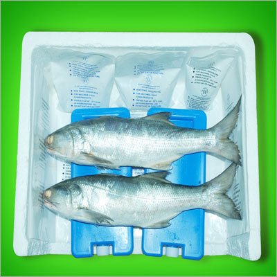 Ice Pack for Fish