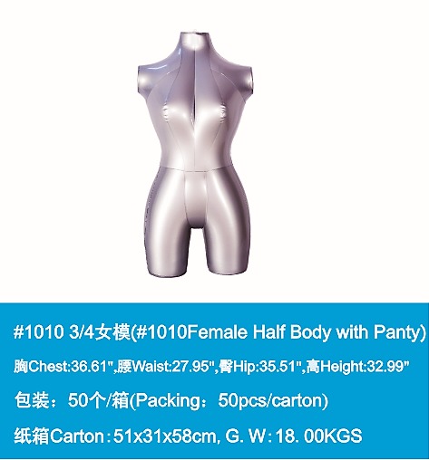 Female half body with panty
