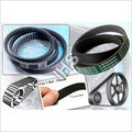 V-belts & Ribbed Belts