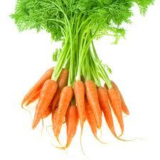 Pure Carrot Seed Essential Oil