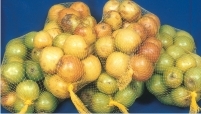 Poly Net