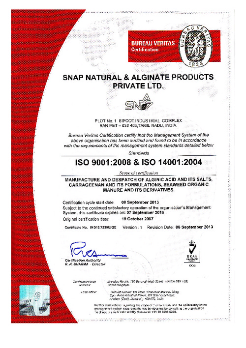 isocerti CERTIFICATE