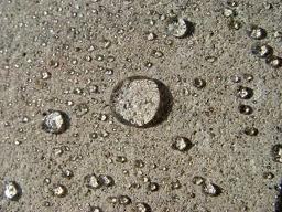 Water Repellents, Anti-Fungus Coatings