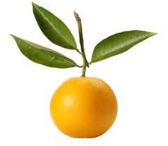 Pure Sweet Orange Essential Oil