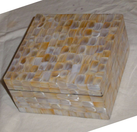 Shell Jewelry Box