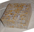 Shell Jewelry Box