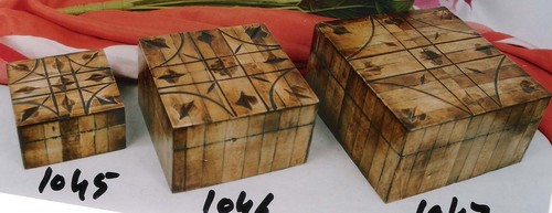 Bone Jewelry Box