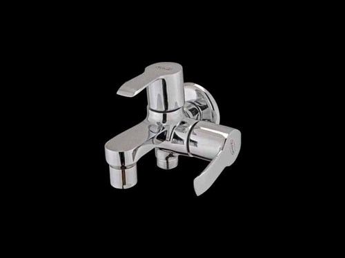 Stainless Steel 2 In 1 Bib Cock