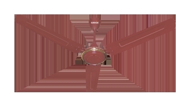 Ceiling fan