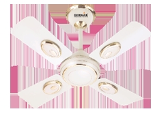 Ceiling fan