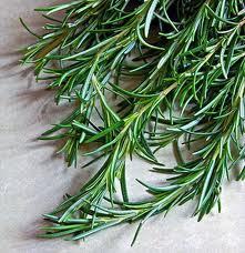 Pure Rosemary Essential Oil