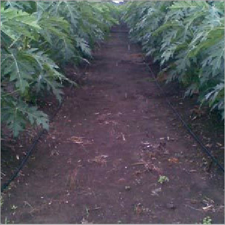 Drip Irrigation Systems