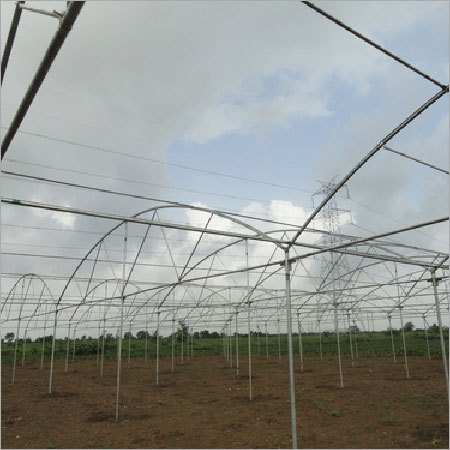 Economical Greenhouse Structure