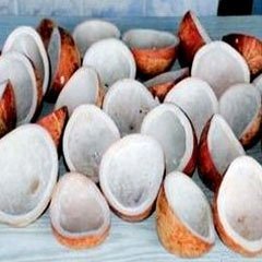 Dry Coconut