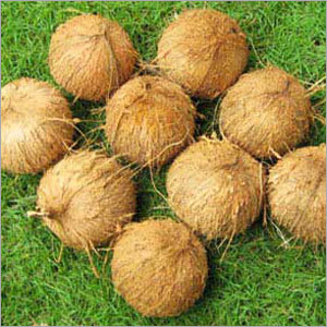 Fully Husked Coconuts
