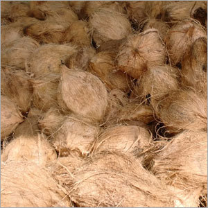 Semi Husked Coconut