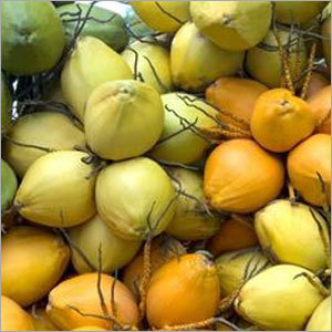 Fresh Coconuts