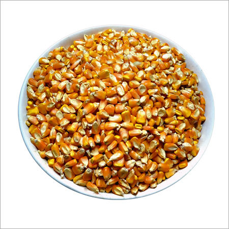 Corn