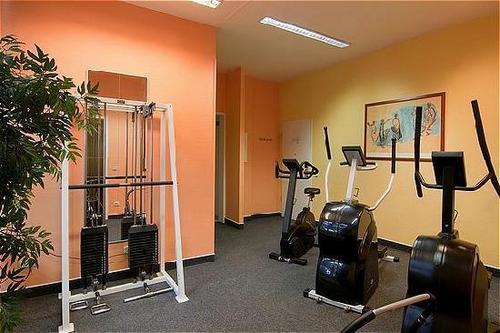 Mini Gym Development