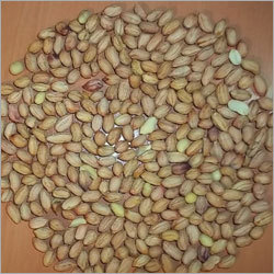 Peanuts