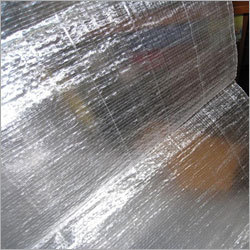 Transparent Bag